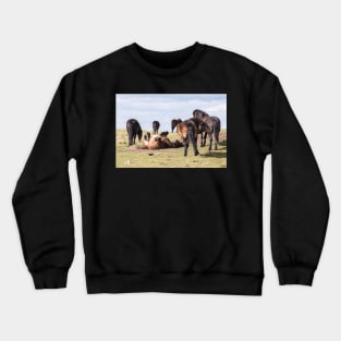 Gotta scratch that itch... Crewneck Sweatshirt